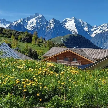 Apartment Renove - Cosy & Idealement Situe - Coup De Coeur *
